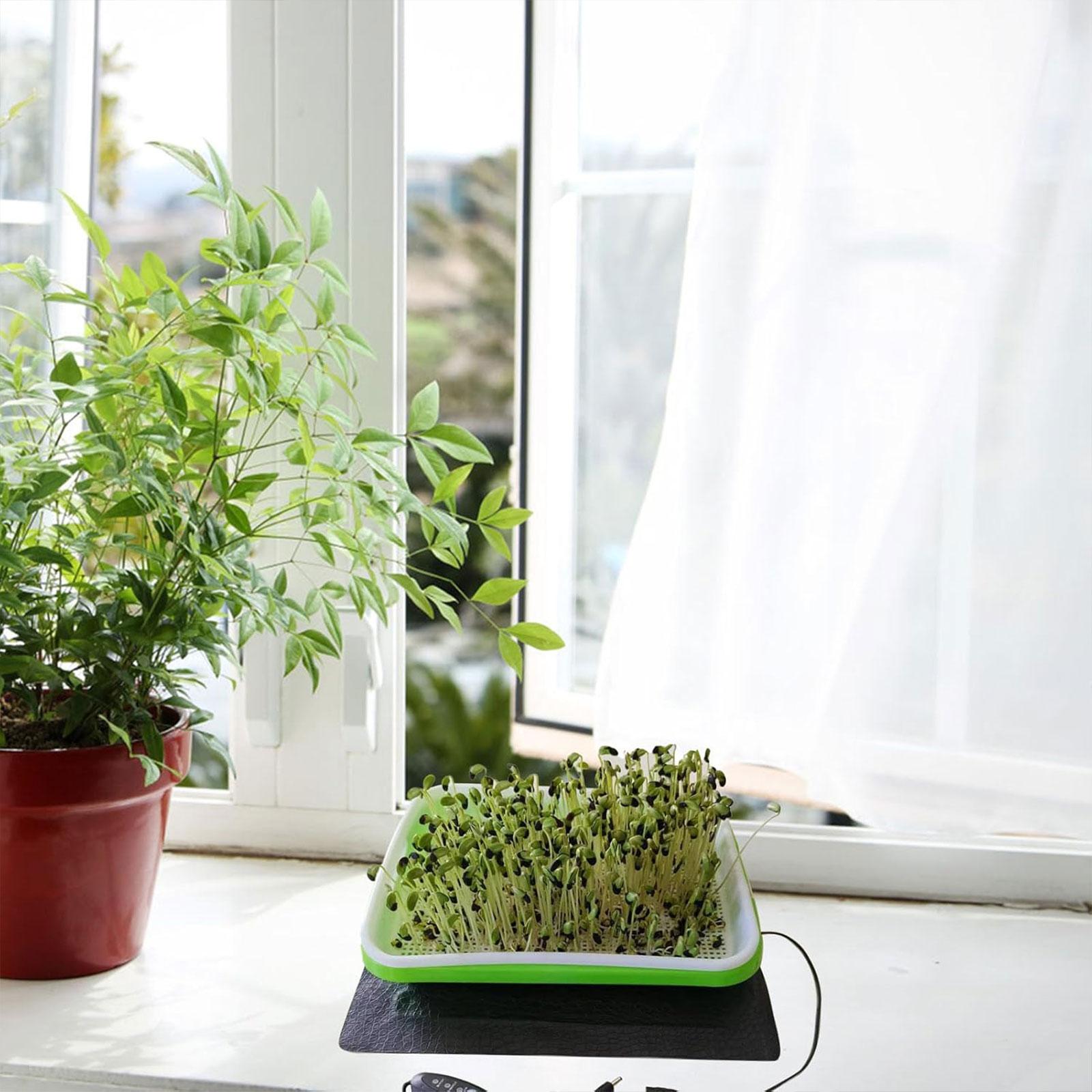 Seedling Heat Pad - بساط حراري للزراعة المائية لتكاثر الشتلات،