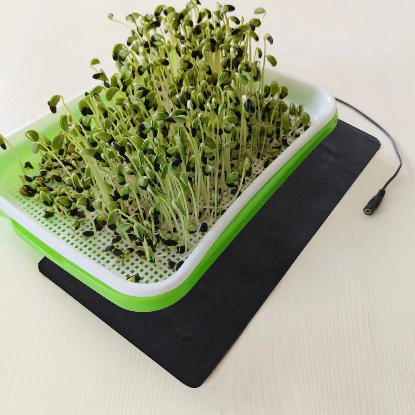 بساط حراري للشتلات 5 فولت 2 أم - مراجعة Seedling Heat Pad وسعره
